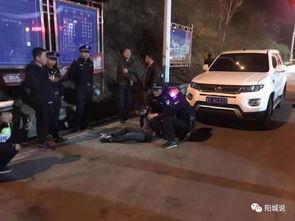 鹤壁汽车爆料事件视频最新,视频揭露惊人内幕,真相令人震惊!